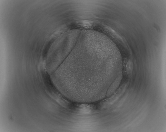 X0000112880562200910021355