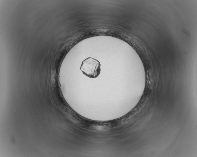 X0000112880563200910021355