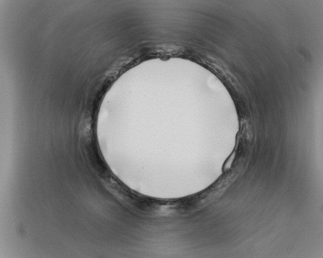 X0000112880564200910021355