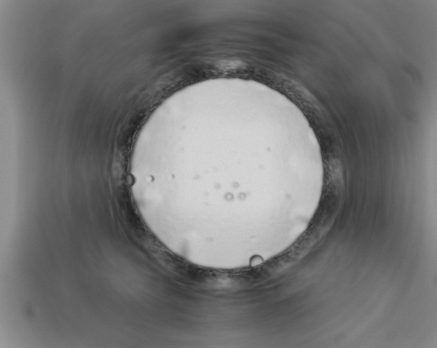 X0000112880565200910021355