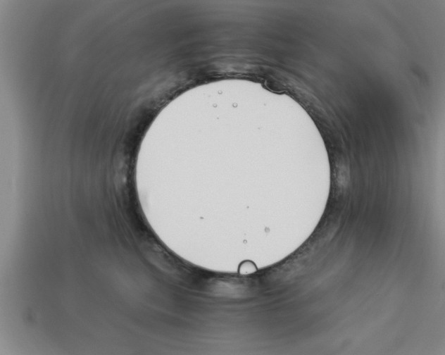 X0000112880567200910021355