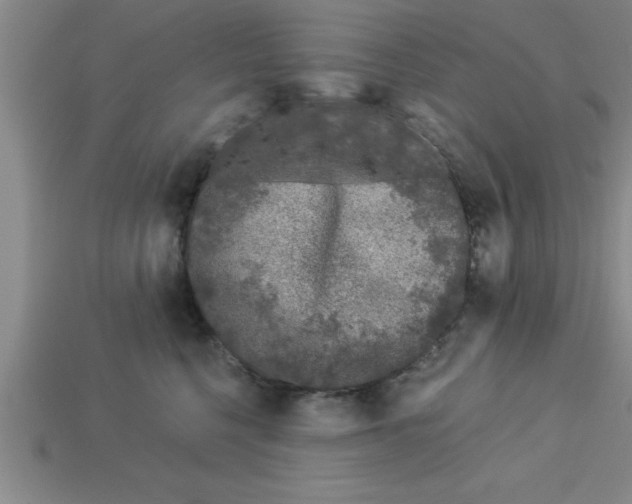 X0000112880568200910021355