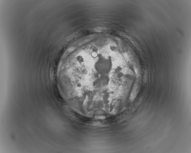 X0000112880569200910021355