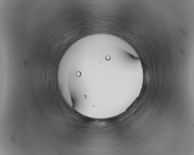 X0000112880570200910021355