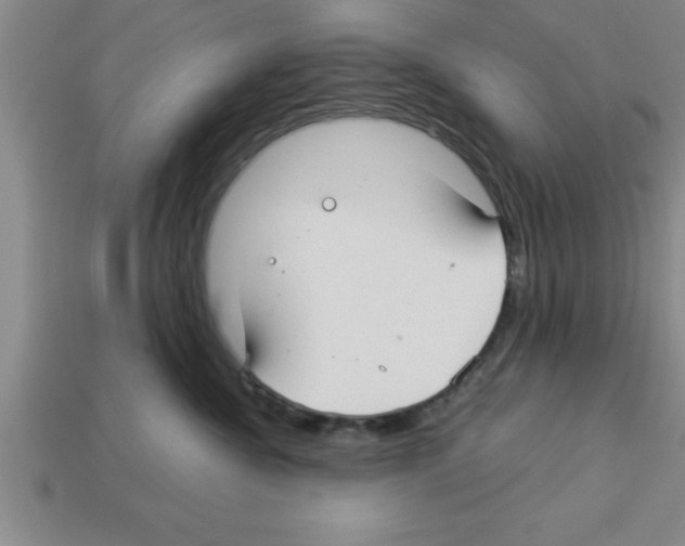 X0000112880572200910021355