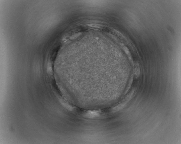 X0000112880573200910021355