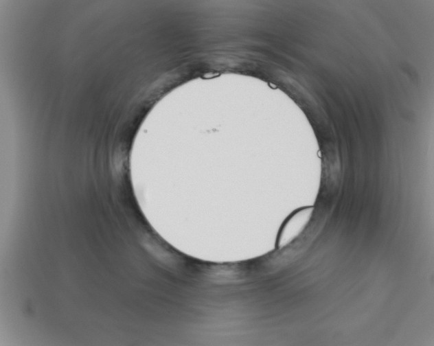 X0000112880574200910021355