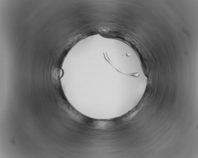 X0000112880575200910021355