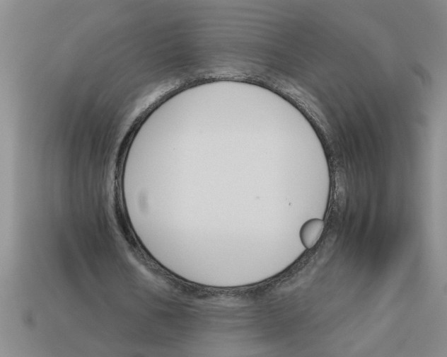 X0000112880578200910021355