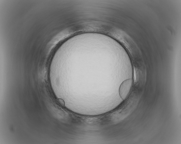 X0000112880579200910021355