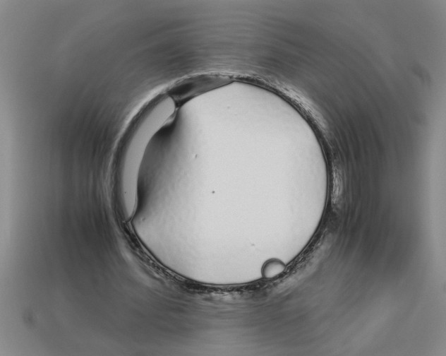 X0000112880580200910021355