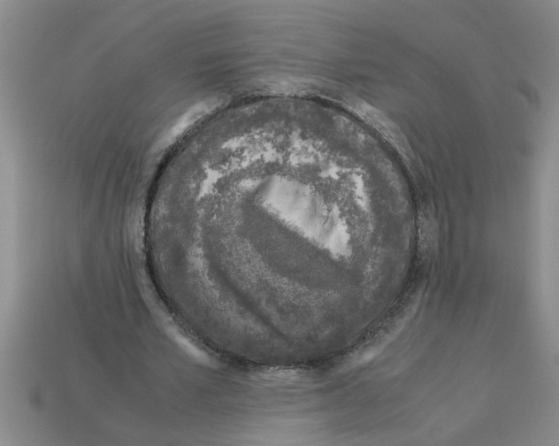 X0000112880581200910021355