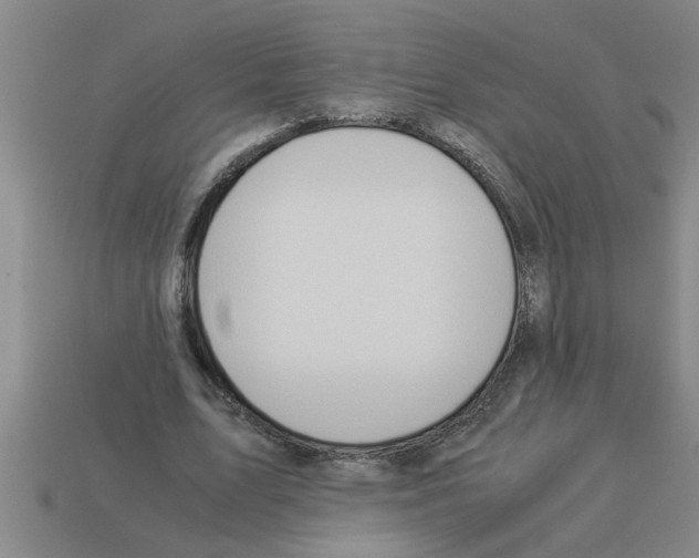 X0000112880583200910021355