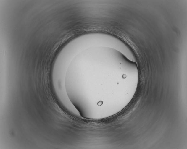 X0000112880585200910021355