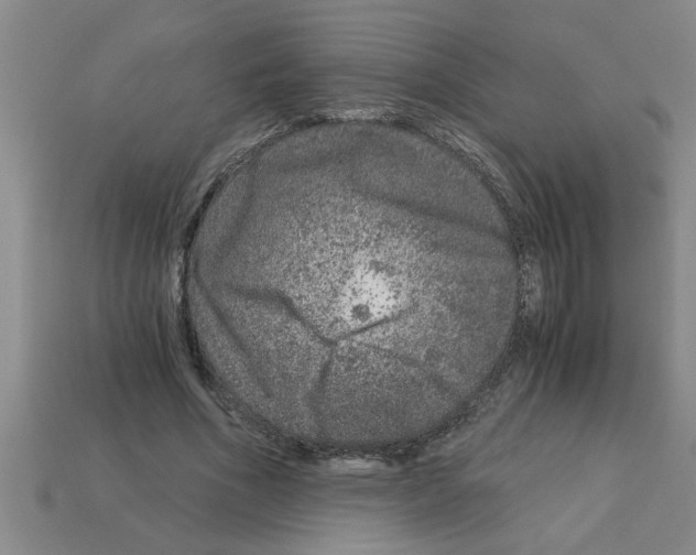 X0000112880586200910021355