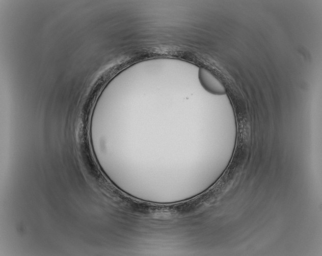 X0000112880587200910021355