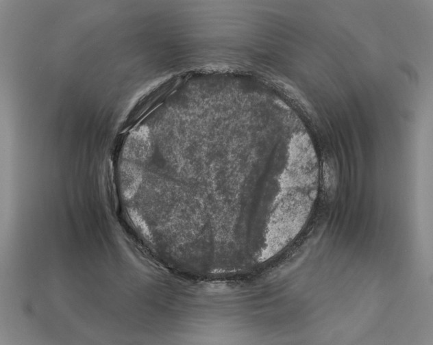 X0000112880588200910021355