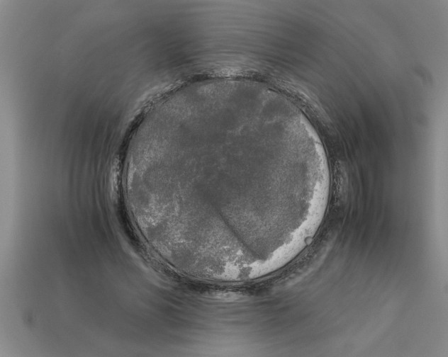 X0000112880590200910021355