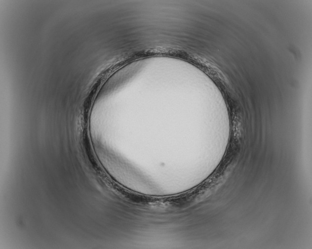 X0000112880591200910021355