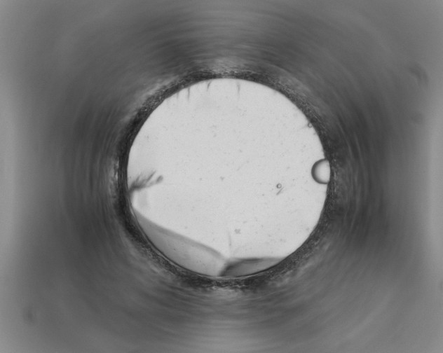 X0000112880592200910021355