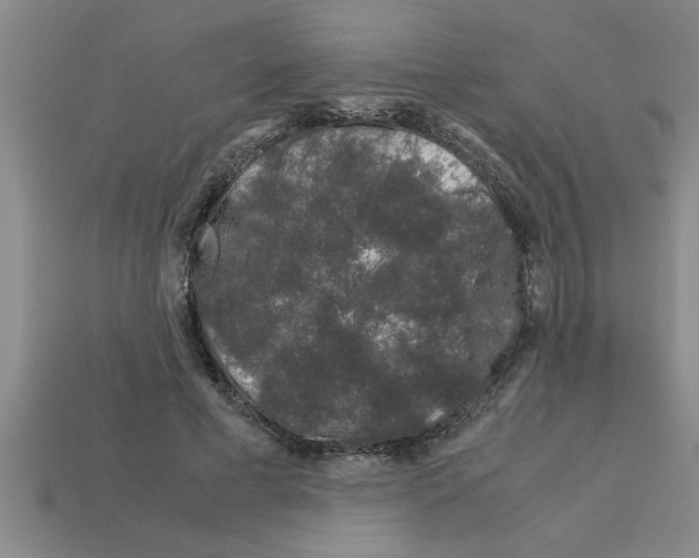 X0000112880593200910021355