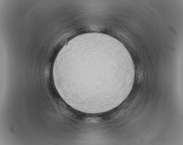 X0000112880595200910021355