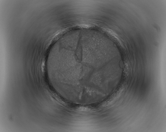 X0000112880596200910021355