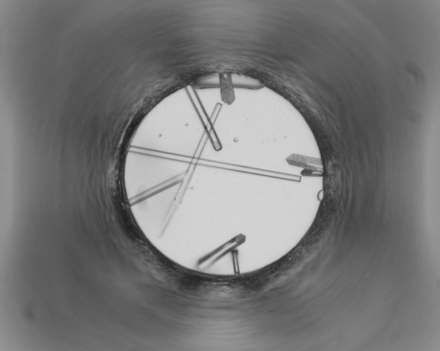 X0000112880597200910021355