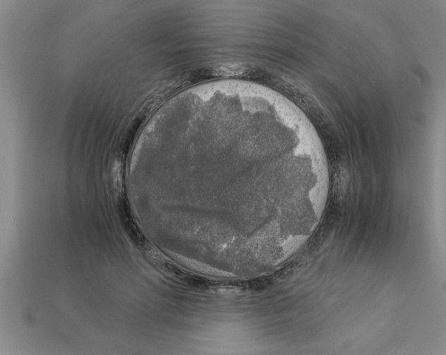 X0000112880598200910021355