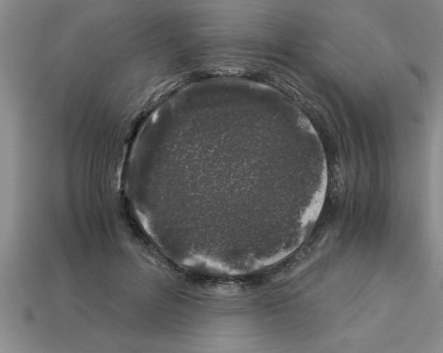 X0000112880600200910021354