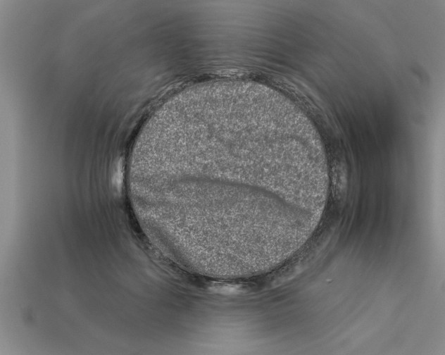 X0000112880602200910021354