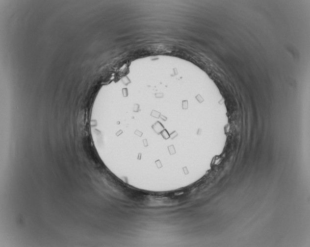 X0000112880605200910021354