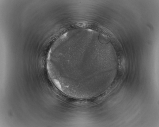 X0000112880606200910021354