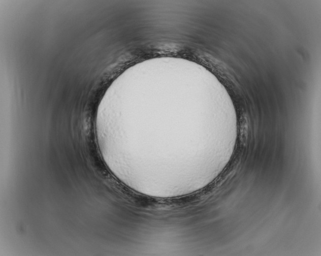 X0000112880608200910021354