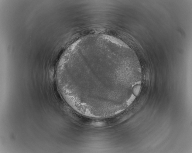 X0000112880610200910021354