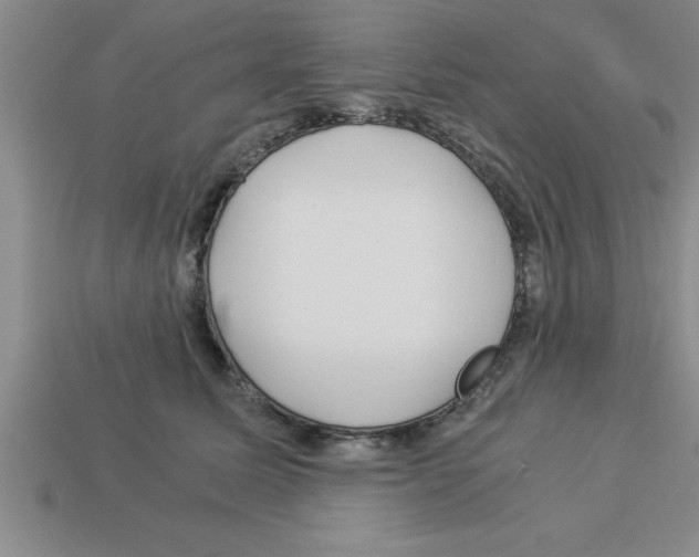 X0000112880611200910021354