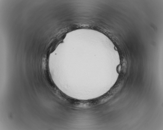 X0000112880612200910021354