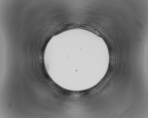 X0000112880613200910021354