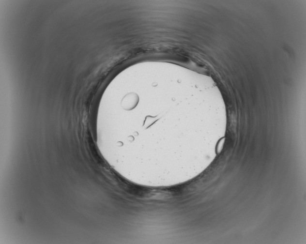 X0000112880617200910021354