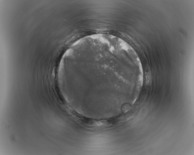 X0000112880618200910021354