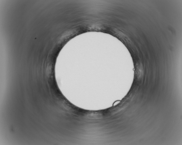 X0000112880619200910021354