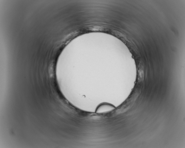 X0000112880620200910021354