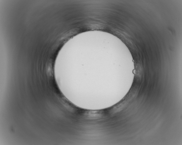 X0000112880622200910021354