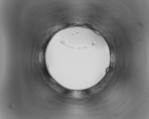 X0000112880623200910021354