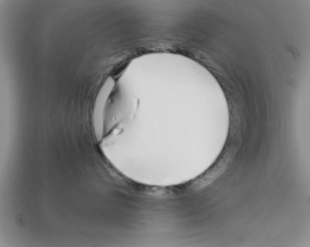 X0000112880624200910021354