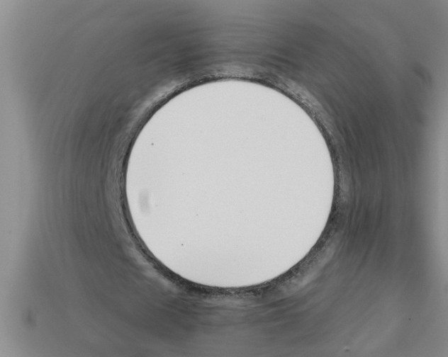 X0000112880625200910021354