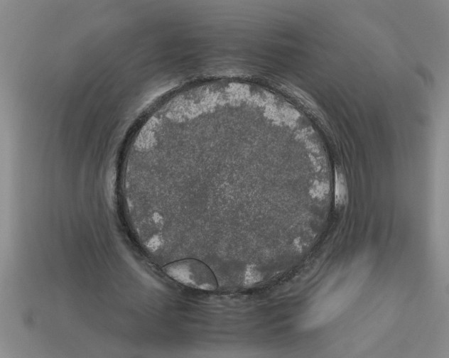 X0000112880627200910021354