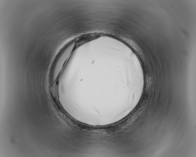 X0000112880628200910021354