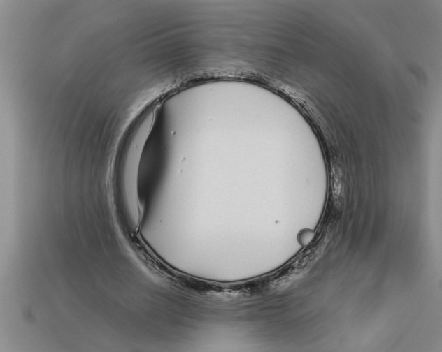 X0000112880630200910021354