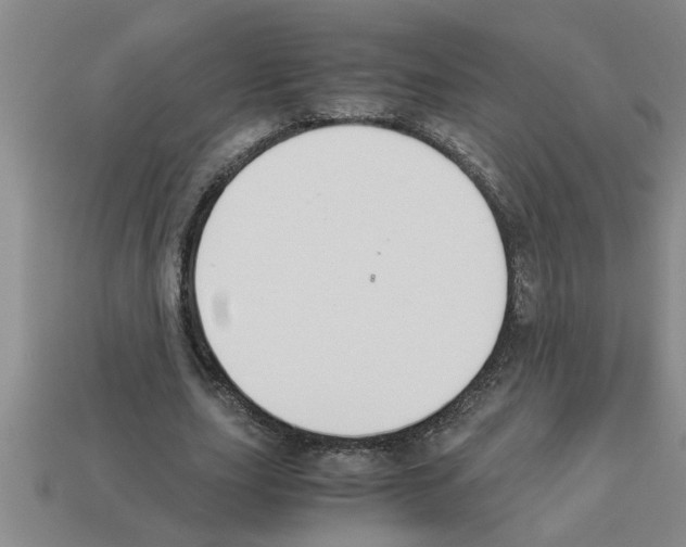 X0000112880631200910021354